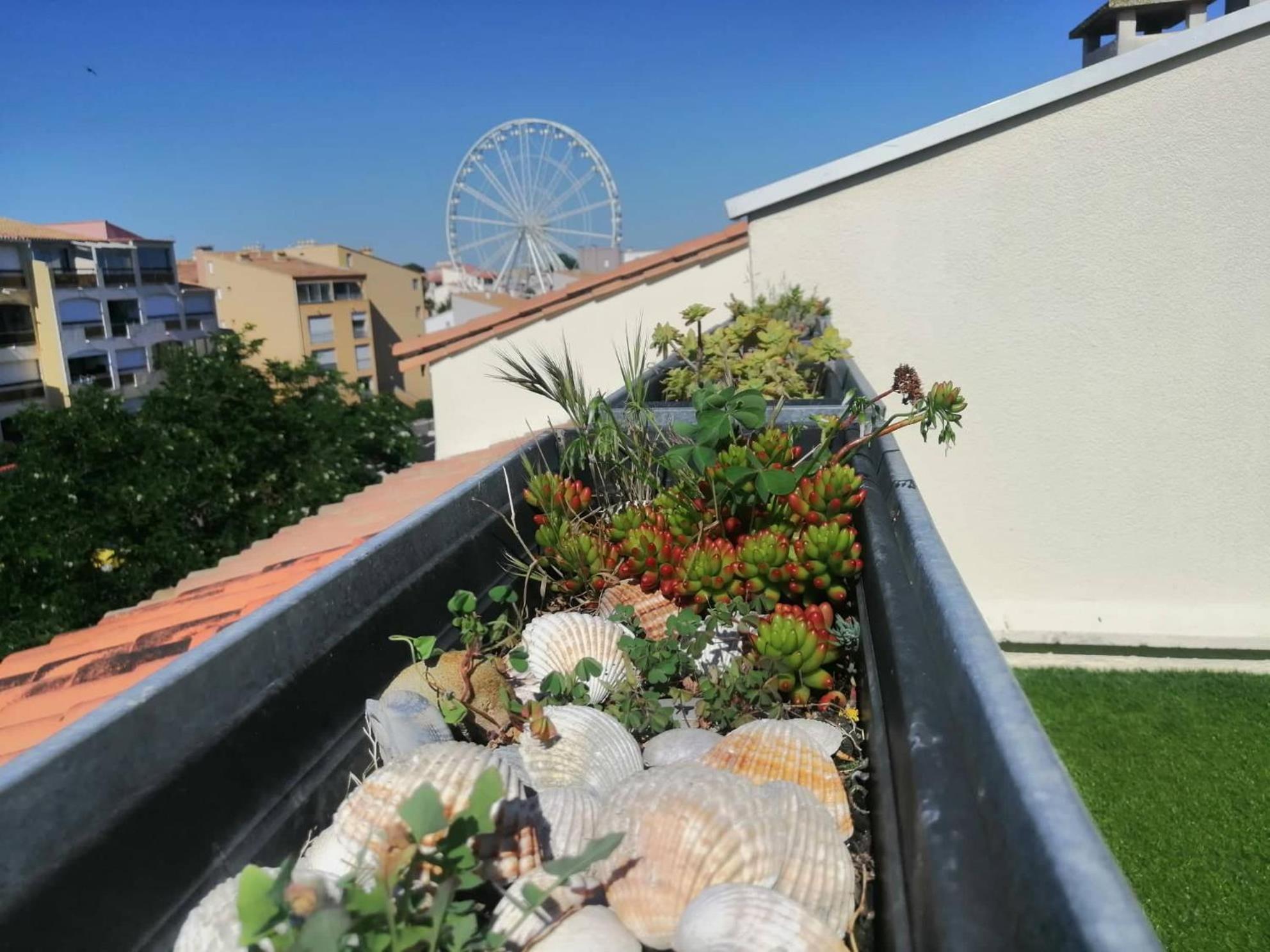 Pamela Sea Lodge Cap D Agde Exteriér fotografie